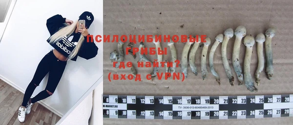 индика Богданович