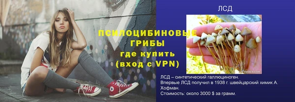 твердый Богородск