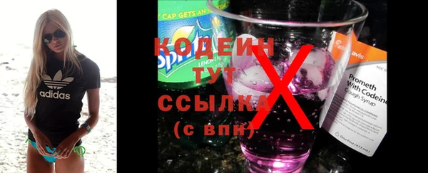 твердый Богородск