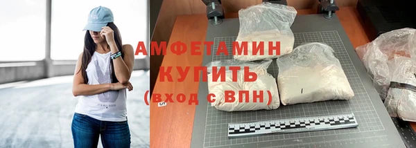 сатива Бородино