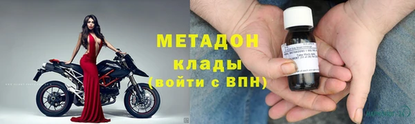 индика Богданович