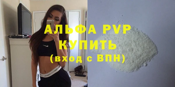 индика Богданович