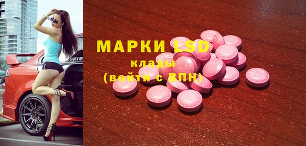 индика Богданович