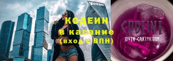 индика Богданович