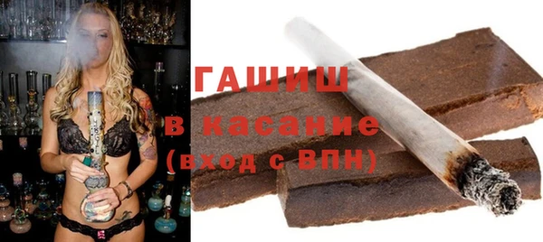 индика Богданович