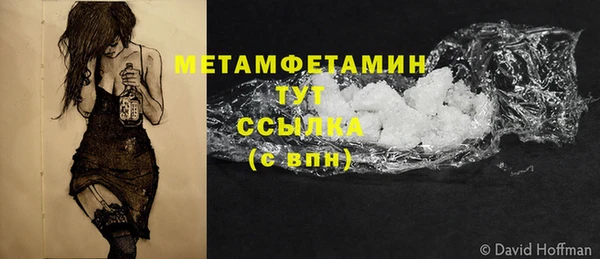 индика Богданович