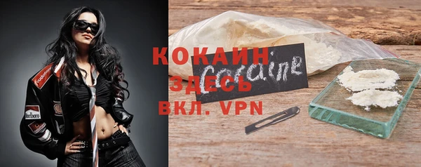 индика Богданович