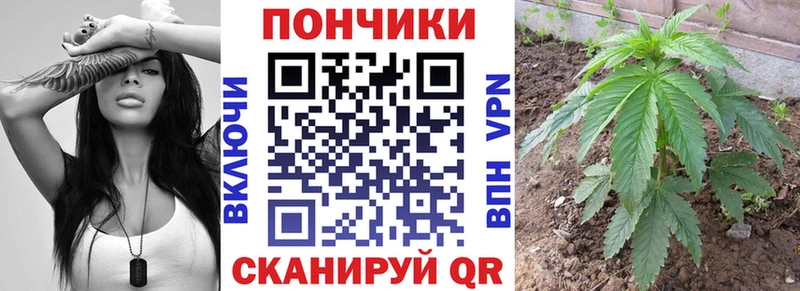 Бошки Шишки Ganja  Великие Луки 